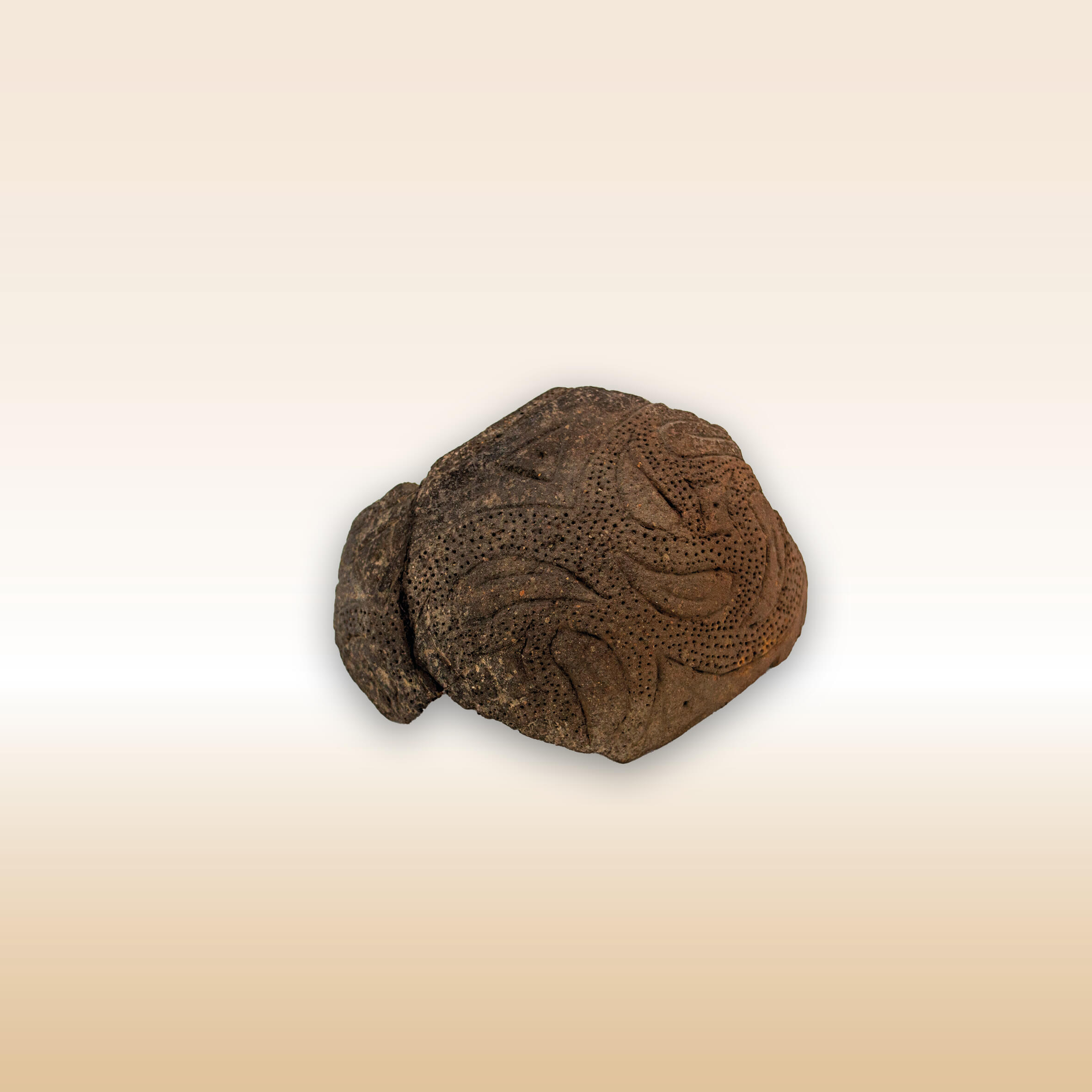 FRAMMENTO DI CIOTOLA