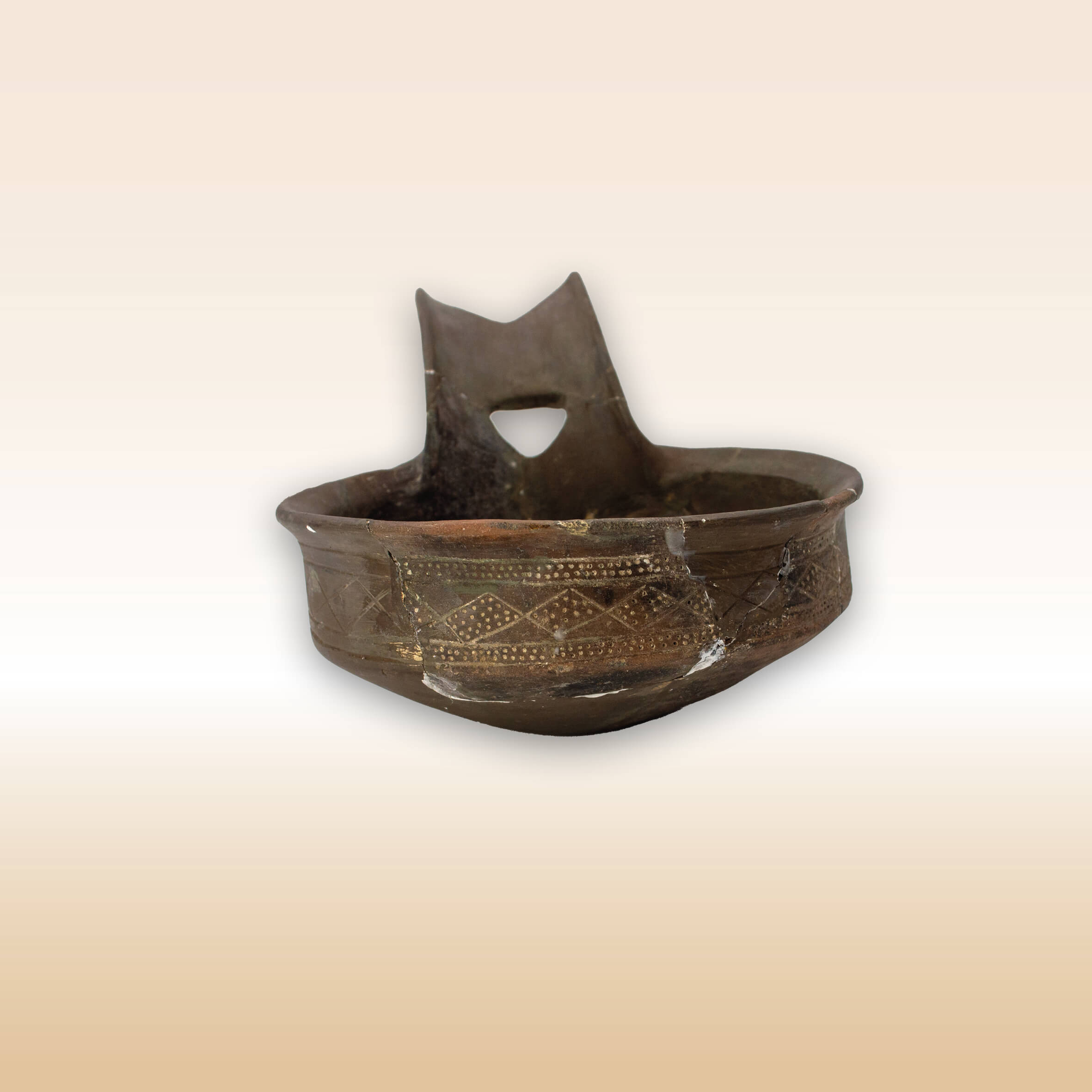 TAZZA CARENATA