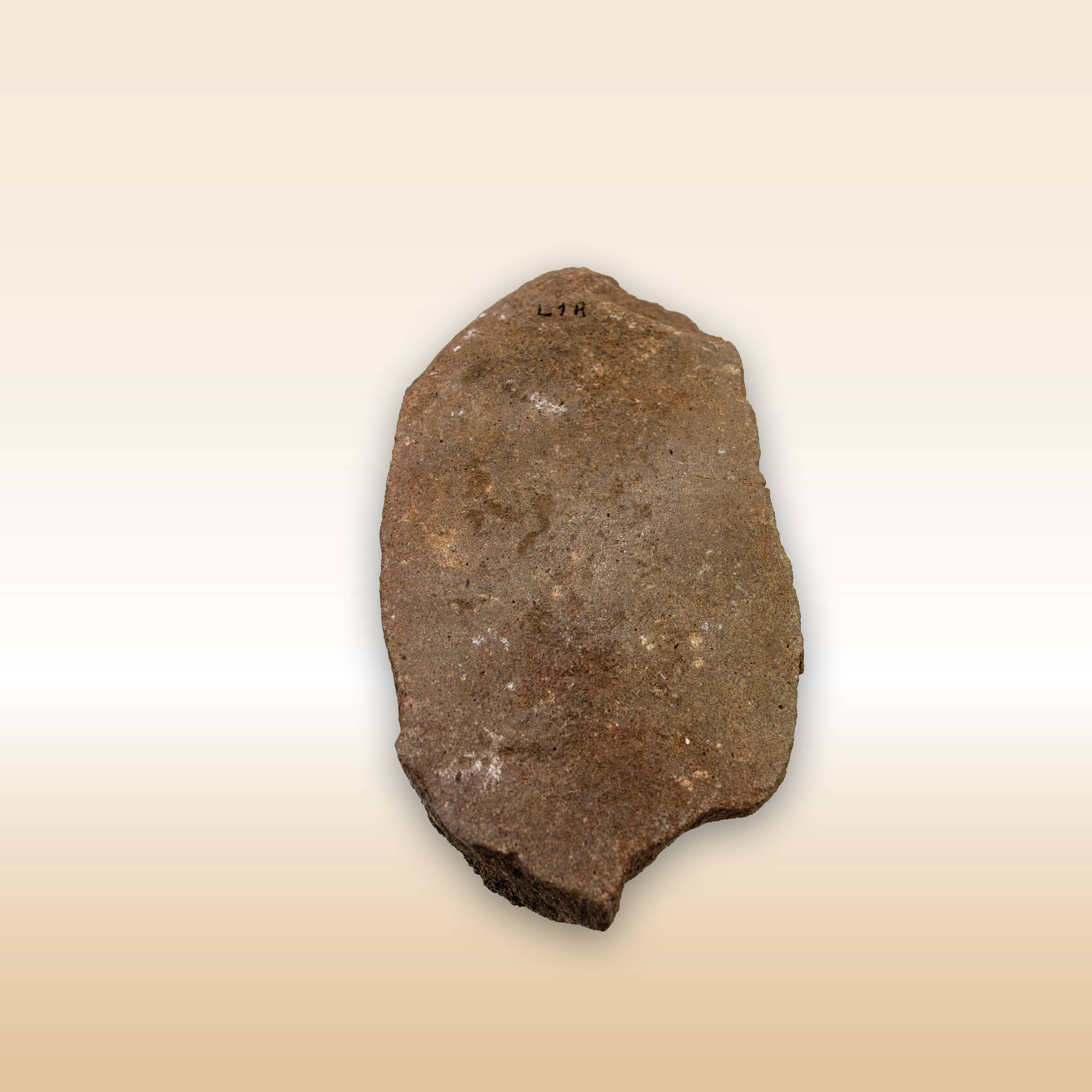 FRAMMENTO DI MACINA