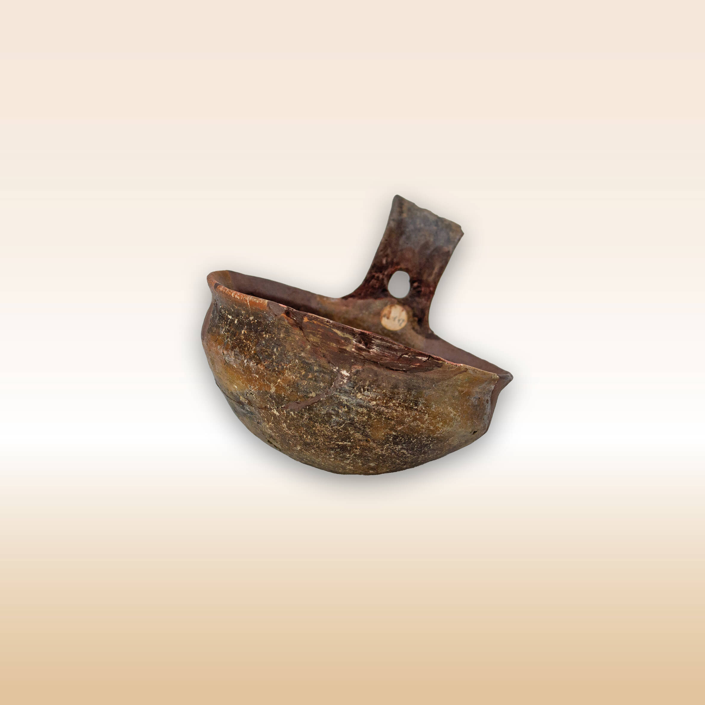 TAZZA CARENATA