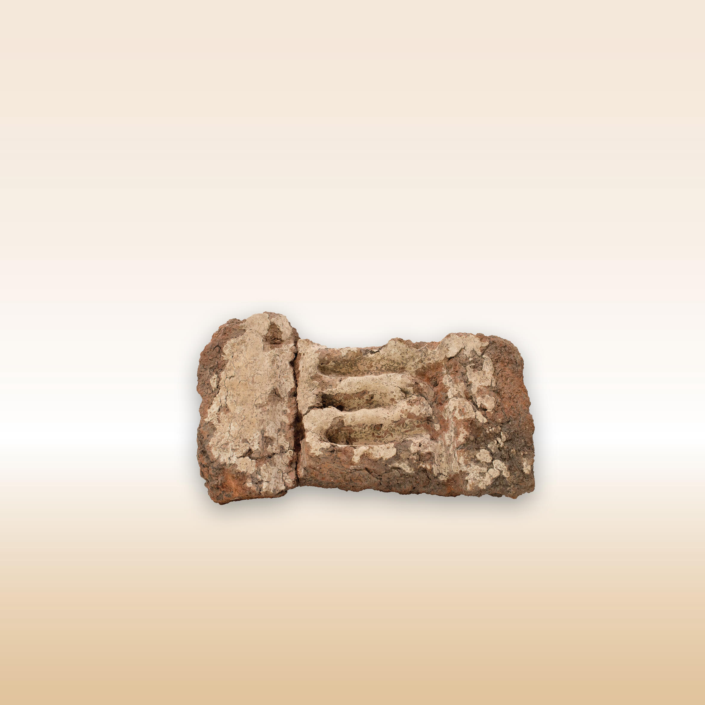 FRAMMENTO DI INTONACO